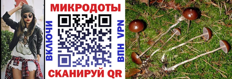Псилоцибиновые грибы Cubensis  где купить наркоту  Арсеньев 